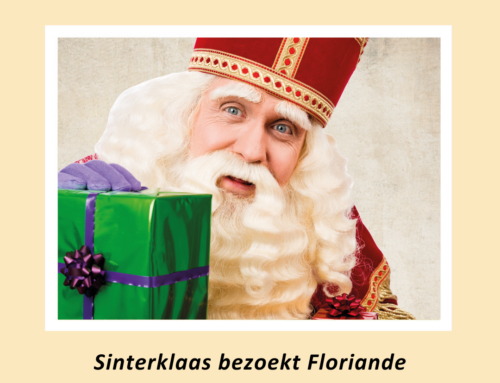 Sinterklaasactiviteiten